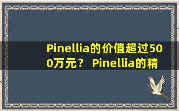Pinellia的价值超过500万元？ Pinellia的精彩用途